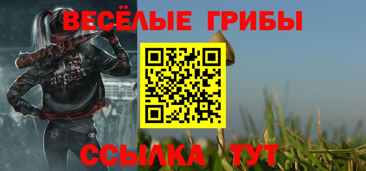 Галлюциногенные грибы MAGIC MUSHROOMS  Вход с VPN  Лесосибирск 