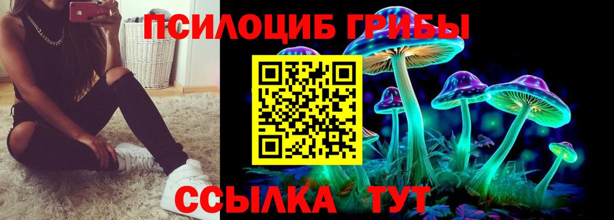 Псилоцибиновые грибы Cubensis Лесосибирск